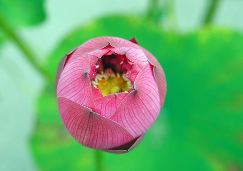 DSC00444_.jpg