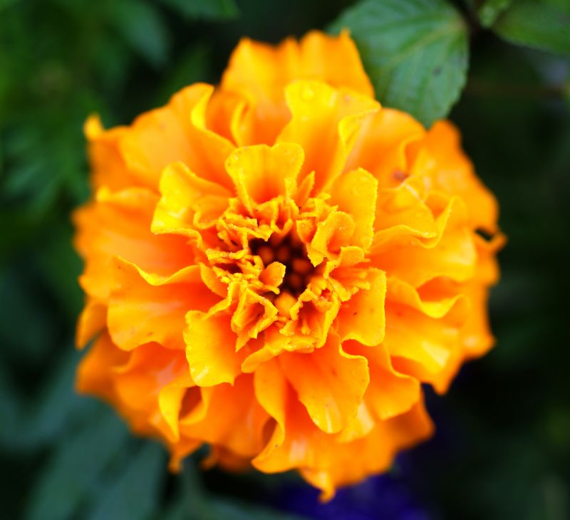 DSC06881 - .JPG